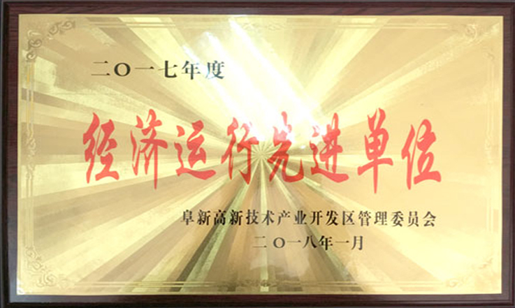 2017年 经济运行先进单位.jpg 2017年 经济运行先进单位.jpg