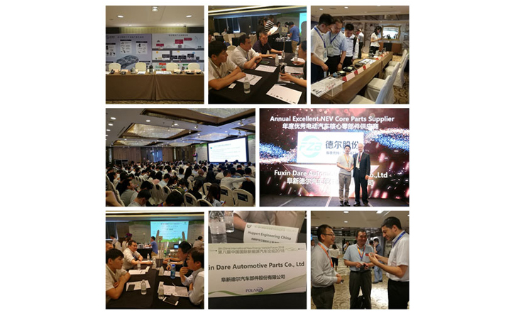 老子有钱lzyq88股份参加第八届中国国际新能源汽车论坛